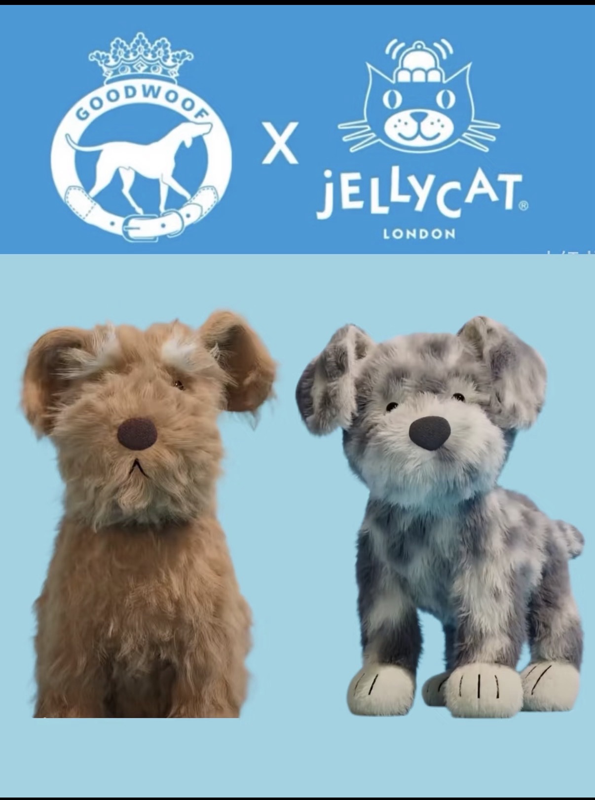 Scruffles Rescue Dog - Jelly cat - Sunny Bunny